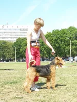 P6120203.webp