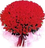 0g8frjdjua.webp