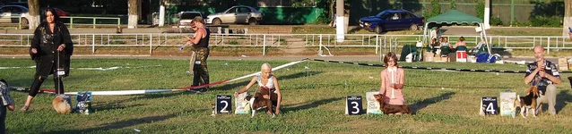 137830513.webp