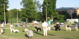 IMG_1789.webp