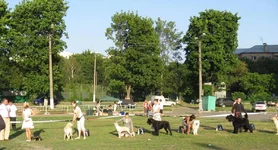IMG_1790.webp