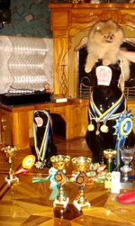 DSC03546.webp