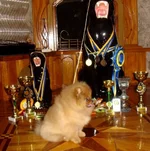 DSC03600.webp