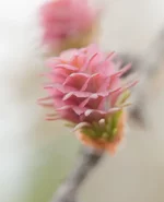 r-7729.webp