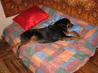 IMG_1762_new.webp