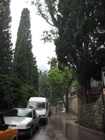  - начало дождя.webp