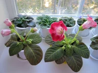 IMG_0211.JPG