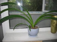 IMG_0051.webp
