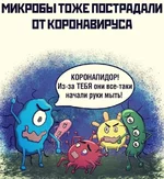 IMG-20200324-WA0004.webp
