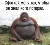 2834733021.webp