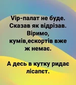 .webp