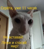 ET8aUtNXgAIxue4.webp