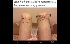 Screenshot_2020-03-30-18-40-34.webp