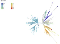 virus.webp