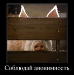 profilepic9762_2.webp