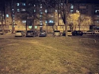 IMG_20200331_222030 копия.jpg
