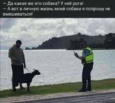 FB_IMG_1586234850526.webp