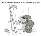 кв.jpg