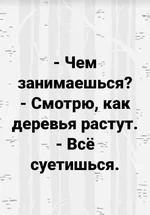 FB_IMG_1586672050549.webp