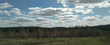 StSaltov_Bset.webp