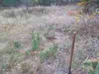 IMG_20191006_132623.webp