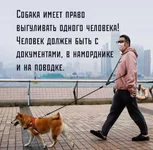 FB_IMG_1587038875809.webp