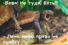 IMG-0d7b3869348aabfc87423b9dc9103a72-V.webp