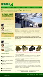solon.webp