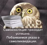 _viber_2020-04-23_13-01-10.webp