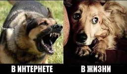 31d9fa854cce5173f9debb0974c052a8_i-5391.webp