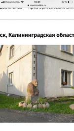 5EBA435C-BFD4-4EF0-83A7-EE18EE8791C5.webp