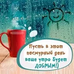  утро.webp