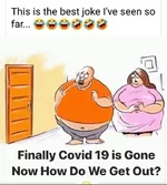 FB_IMG_1587998065495.webp