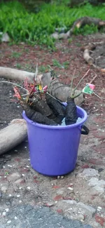 IMG_20200428_202046.webp