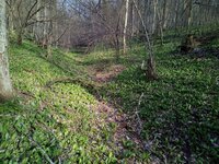 IMG_20200404_160835_s.jpg