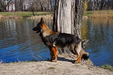IMG_20200430_162237.webp