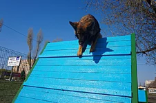 IMG_20200430_162622.webp