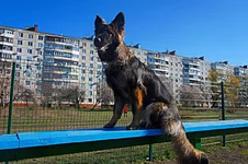 IMG_20200430_162726.webp