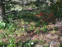 IMG_20200503_084710.webp