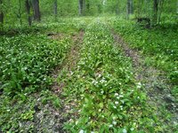 IMG_20200503_162345+s.jpg