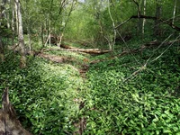 IMG_20200503_163113+s.jpg