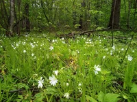 IMG_20200503_150332+s.webp
