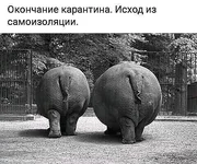 i (12).webp