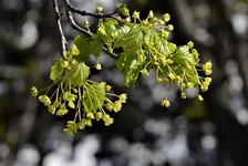 _20_1.webp
