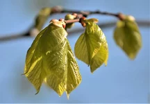_20_3.webp