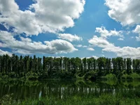 IMG_20190602_131953.webp