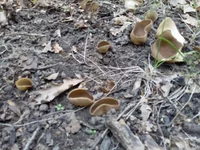 IMG-5512c4abc09dbaf964519ce1c279f04b-V.webp