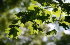 _20_7.webp