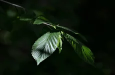 _20_6.webp