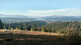 IMG_20191013_091455832_HDR.jpg
